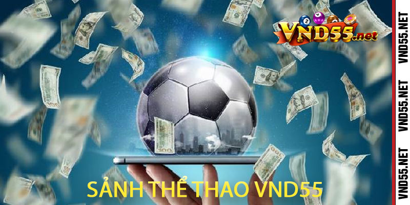 sảnh thể thao vnd55