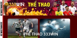 thể thao 333win