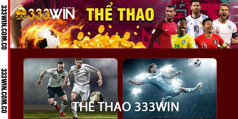 thể thao 333win